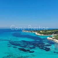 Vignette pour l'image de la liste principale